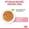 Šlapias kačių ėdalas Royal Canin Kitten Gravy 85 g – paukštiena
