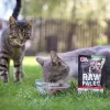 Šlapias kačių ėdalas VETEXPERT RAW PALEO Adult Sterilised Beef 100 g pakelis, monoproteininis, 78% drėgmės