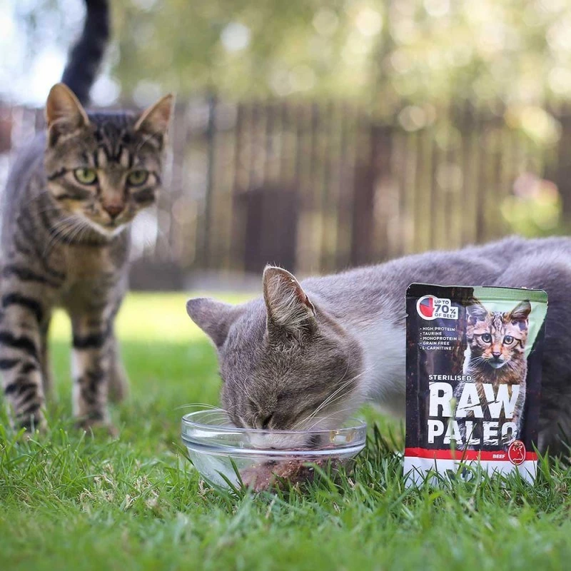 Šlapias kačių ėdalas VETEXPERT RAW PALEO Adult Sterilised Beef 100 g pakelis, monoproteininis, 78% drėgmės