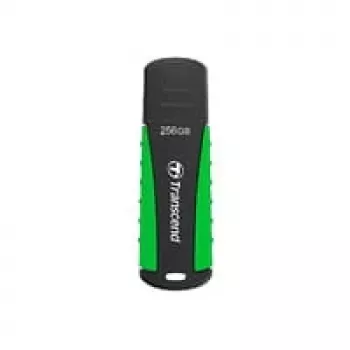 USB atmintukas Transcend 256GB USB Type-A 3.2 Gen 1 JetFlash 810
