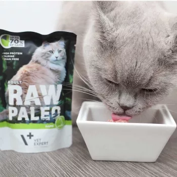 Šlapias kačių ėdalas VETEXPERT RAW PALEO Adult Venison 100 g – bekombinis vienos porcijos paketėlis