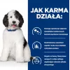 HILL'S PD Canine Urinary Care C/D - šlapias šunų ėdalas - 370g