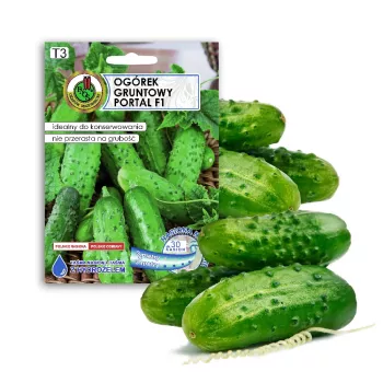 Agurkų sėklos Apte Cucumber Portal F1 — juosta 6 m, vidutinio ankstyvumo rauginimui skirtas hibridas