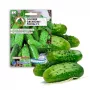 Agurkų sėklos Apte Cucumber Portal F1 — juosta 6 m, vidutinio ankstyvumo rauginimui skirtas hibridas