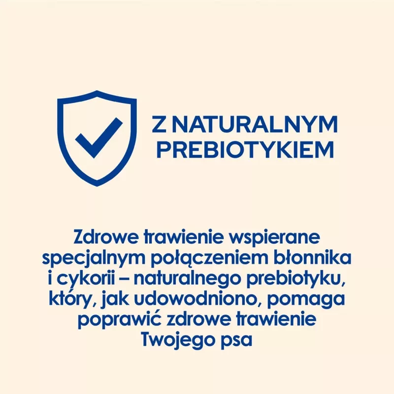 Sausas šunų ėdalas Purina Nestlé Dog Chow Mature Senior su ėriena 14 kg