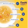 INABA CAT Dashi Delights Silky Broth Chicken with Salmon - katės skanėstas - 40g