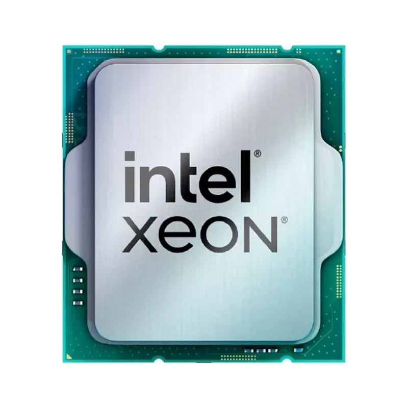 Procesorius Intel Xeon E-2456 6C/12T, 3.3-5.1GHz, 18MB, 95W, LGA1700, Tray