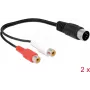 Garso kabelis DeLOCK 85835 0,2 m DIN (5 kontaktų) 2 x RCA juodas