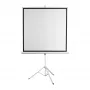 Projekcinis ekranas SBOX PSMT-135-2, žiūrėjimo plotas 240×240 cm, fiksuotas / montuojamas ant sienos