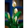 LEGO BOTANICALS 11504 Taikos lelija