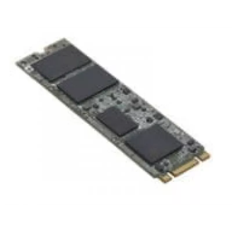 Fujitsu S26361-F5816-L240 vidinis kietojo kūno diskas 240 GB M.2 Serial ATA III