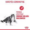 Royal Canin Urinary Care sausi kačių ėdalai suaugusiems su paukštiena 2 kg