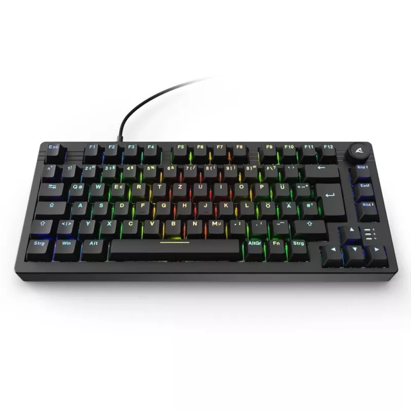 Sharkoon SGK25 klaviatūra USB QWERTZ vokiška juoda 75% RGB LED