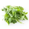Sėklos ant juostelės – Apte Rukola (Eruca sativa) 6 m auginimui namuose ir sode