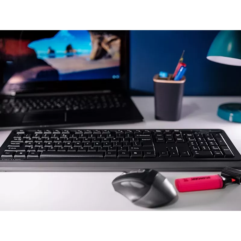 Belaidė pelė A4Tech FStyler 47478 2.4G Nano pilka ergonomiškas dizainas