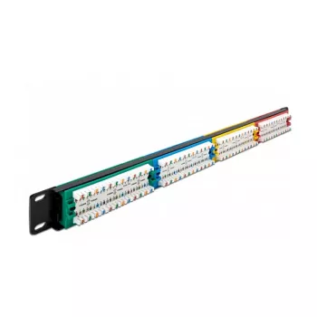 DeLOCK 19 colių skydinė plokštė 24 prievadai Cat.5e 1U spalvota RJ-45