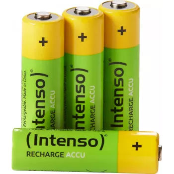 Baterija Intenso 7505524