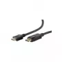 Vaizdo kabelio adapteris ShiverPeaks BS77490-2 1m DisplayPort HDMI Type A