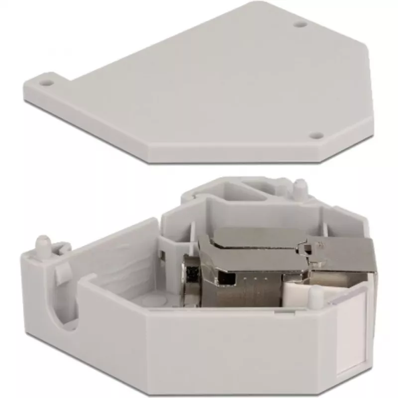 Delock modulinis adapteris – tvirtinimui ant DIN bėgio – CAT 6a – STP – pilkas – 1 jungtis (86014)
