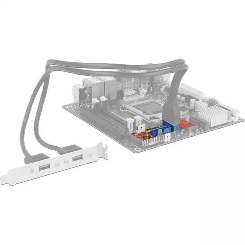 Delock Converter M.2 Key B+M vyriškas > 2 x USB 3.0 vidiniai šukiniai lizdai - USB adapteris - M.2 kortelė - USB 3.0 (vidinis) x 2 (62843)