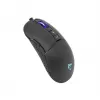 Pelė White Shark ARTHUR USB Type-A