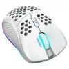 Belaidė žaidimų pelė Deltaco GAM-120-W RF belaidė USB Type-C