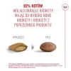Sausas kačių ėdalas Royal Canin FHN Ageing 11+ 4 kg – pilnavertis ėdalas senjorėms katėms, paukštiena, 30% baltymų