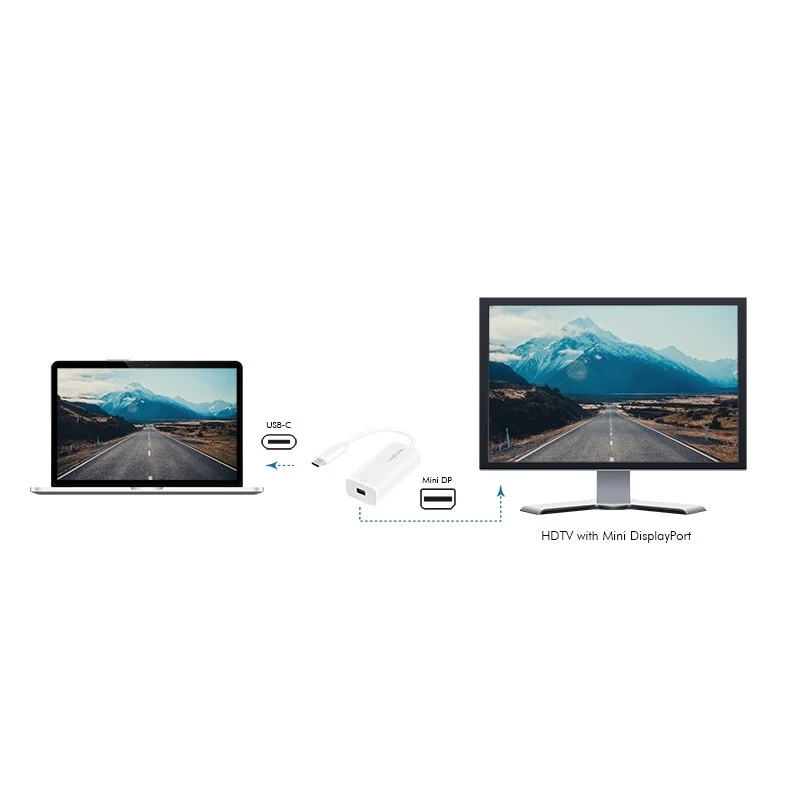 LogiLink UA0360 vaizdo adapterio kabelis USB-C į Mini DisplayPort