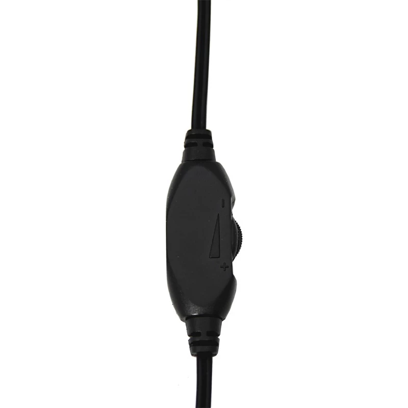 Stereo ausinės su mikrofonu ir garso valdymu EH103