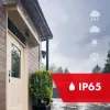 PIR judesio jutiklis MACLEAN MCE201 B/B IP65 pasyvus infraraudonųjų spindulių detektorius, atsparus orams