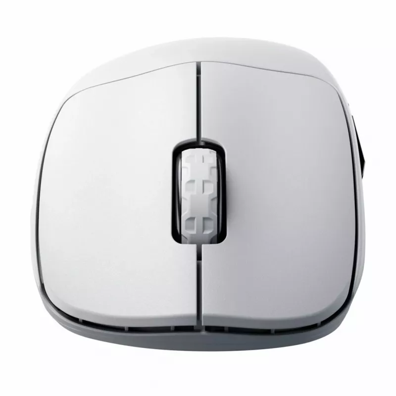 PELĖ CHERRY XTRFY M64 Pro Wireless RF Wireless