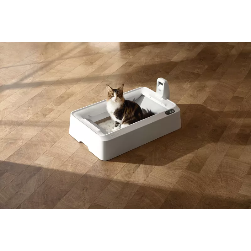 Savaime išsivalantis katės tualetas PETKIT T7-EU, baltas