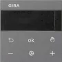 Gira RTR Display Anthracite 539328