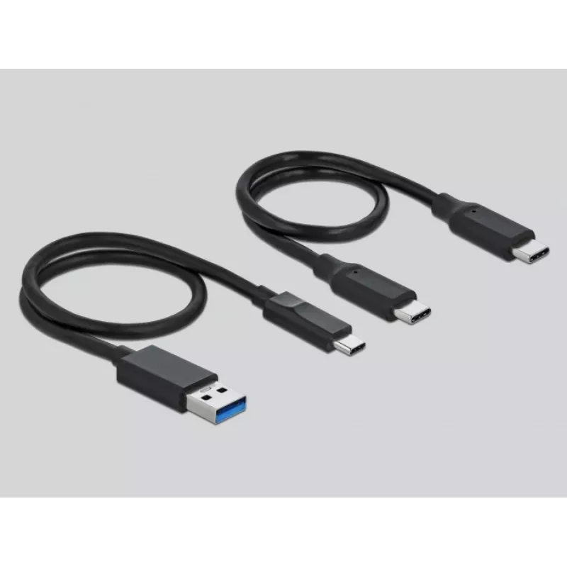Kortų skaitytuvas DeLOCK USB Type-C CFast SD + USB šakotuvas