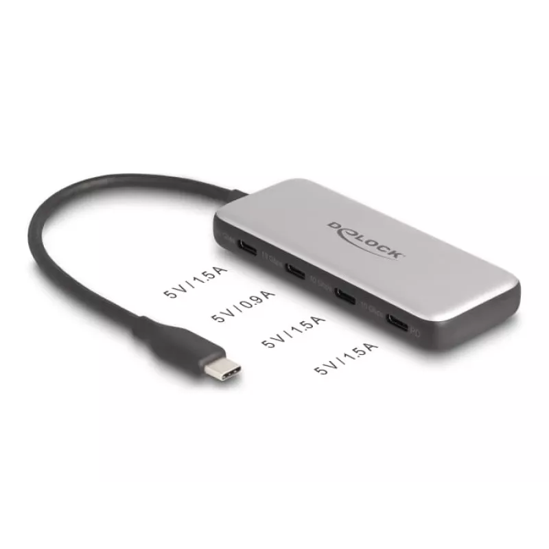 DeLOCK 64261 USB 3.2 Gen 1 Type-C šakotuvas 10000 Mbit/s juoda pilka