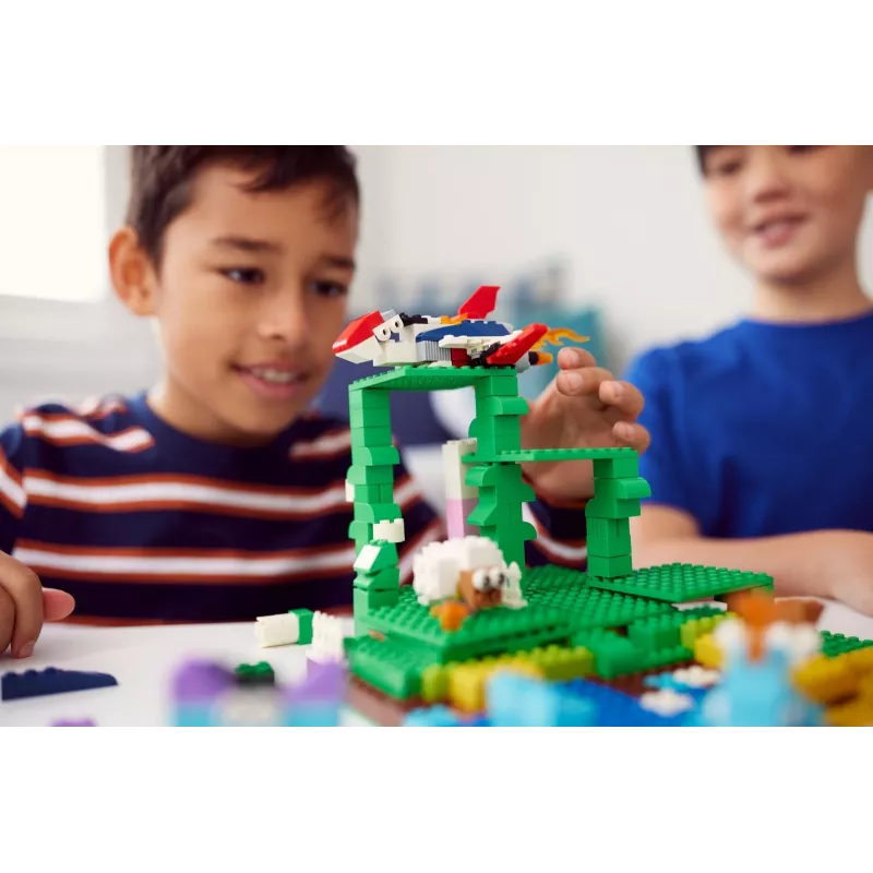 Bosch dėklas su Ixolino II atsuktuvu