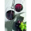 Skaitmeninis maisto termometras GEFU 21820, nerūdijančio plieno zondas, -45 iki 200 °C, 10 s atsakas, juodas