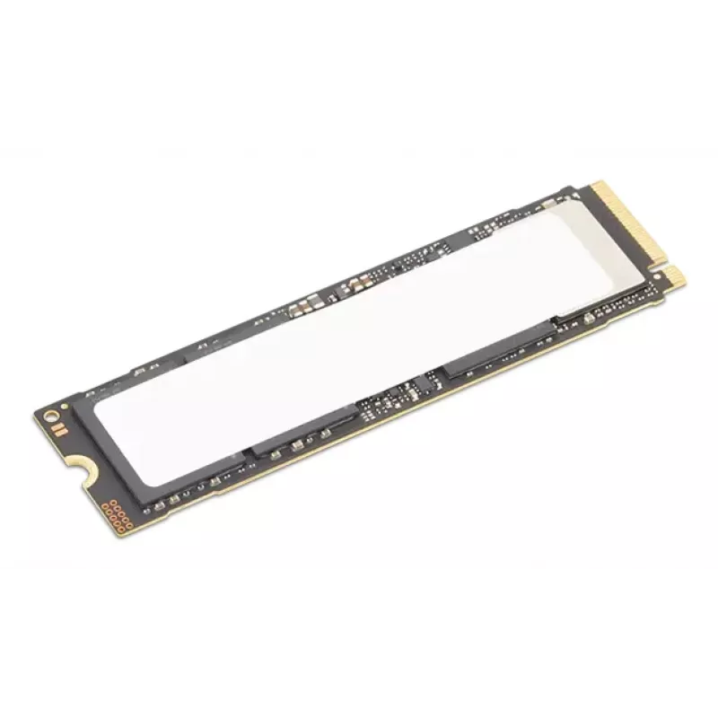Lenovo 4XB1S30112 vidinis kietojo kūno diskas 1 TB M.2 PCI Express 5.0 NVMe