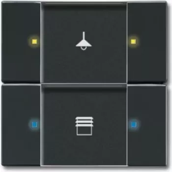 Busch-Jaeger 6116-0-0183 KNX ir pastatų automatizavimo įrenginys