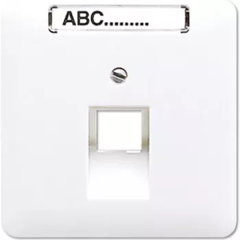 JUNG CD 569-1 NAUA WW - RJ-45 kištukinis lizdas - Baltas - Termoplastas