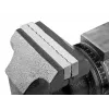 Sukamasis šaltkalvio spaustuvas NEO tools 100 mm 360°, modelis 35-030