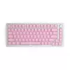 Glorious PC Gaming Race GMMK ABS Doubleshot V2 UK pagrindinis rinkinys - rožinė (GLO-KC-ABS-UKKIT-P)