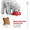 ROYAL CANIN Adult Mini S – sausas šunų ėdalas – 2 kg