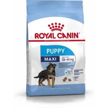 Royal Canin SHN Maxi Puppy - sausas ėdalas šuniukams - 4 kg