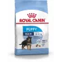 Royal Canin SHN Maxi Puppy - sausas ėdalas šuniukams - 4 kg