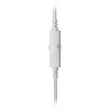 Ausinės White Shark GH-2446 Gottan White