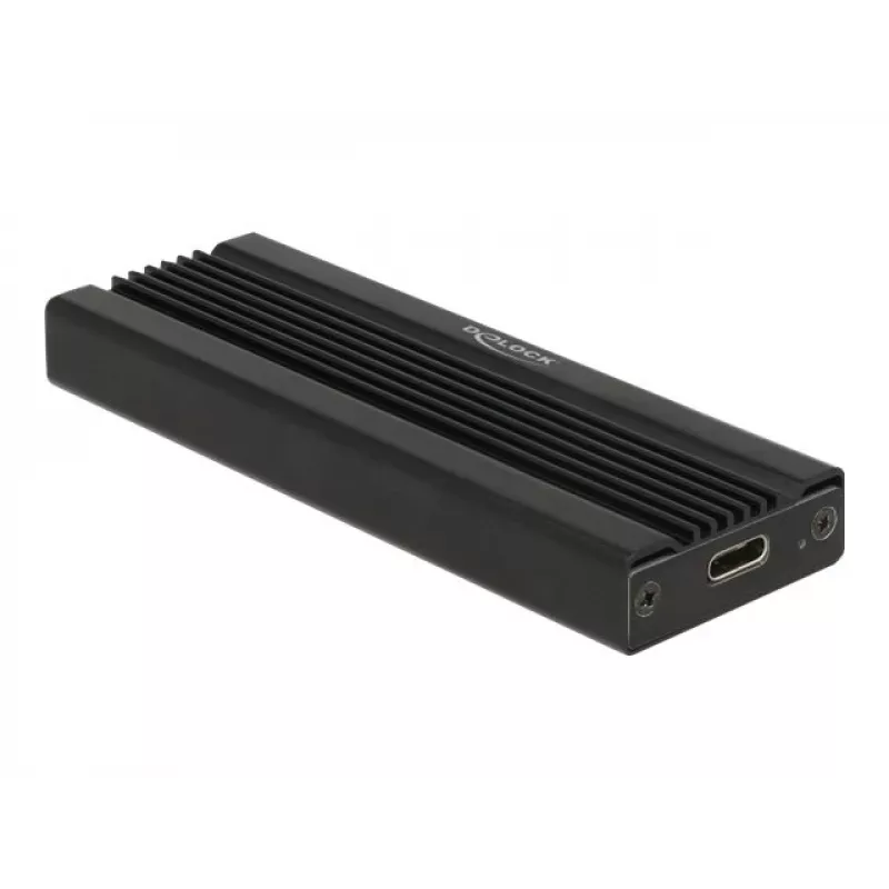 Išorinė dėžutė M.2 NVMe SSD Delock 42600 USB 3.2 Gen 1