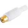 RCA lizdo jungtis ShiverPeaks BS51500-WG balta