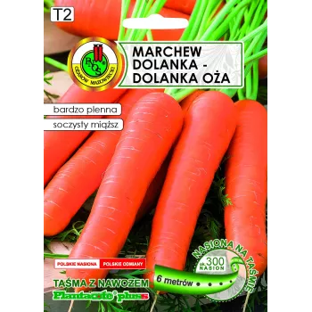 Apte Marchew Dolanka 6 m juosta su Platnacote trąša – vėlyvoji veislė