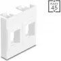 Rėmelis modulinis DELOCK Easy 45, 2x keystone laikikliai, 45×45 mm